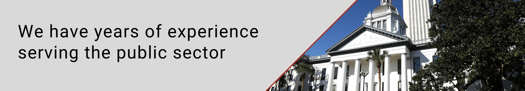 Continental and Global Services - Public Sector